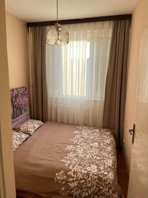 Shesh Hostel Pristina Extérieur photo